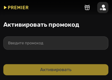 Куда вводить промокод PREMIER