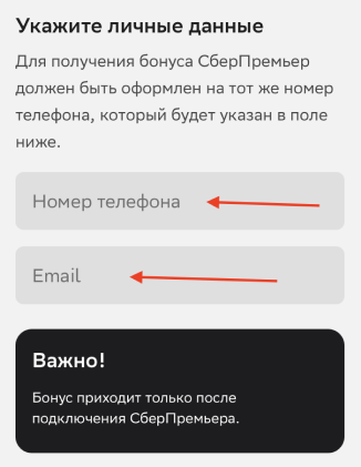 Куда вводить промокод СберПремьер